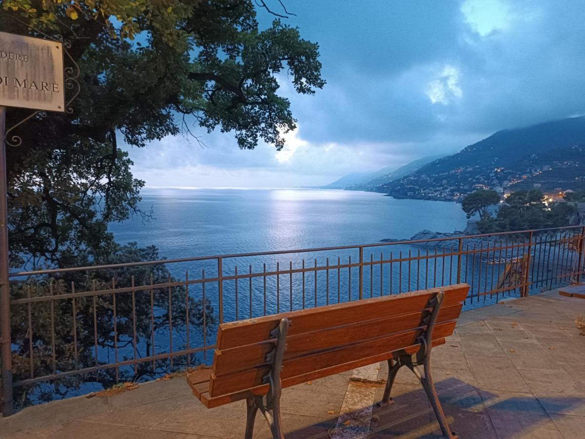 Appartamento A Dream Codice Citra 010047-Lt-0161 Recco Esterno foto