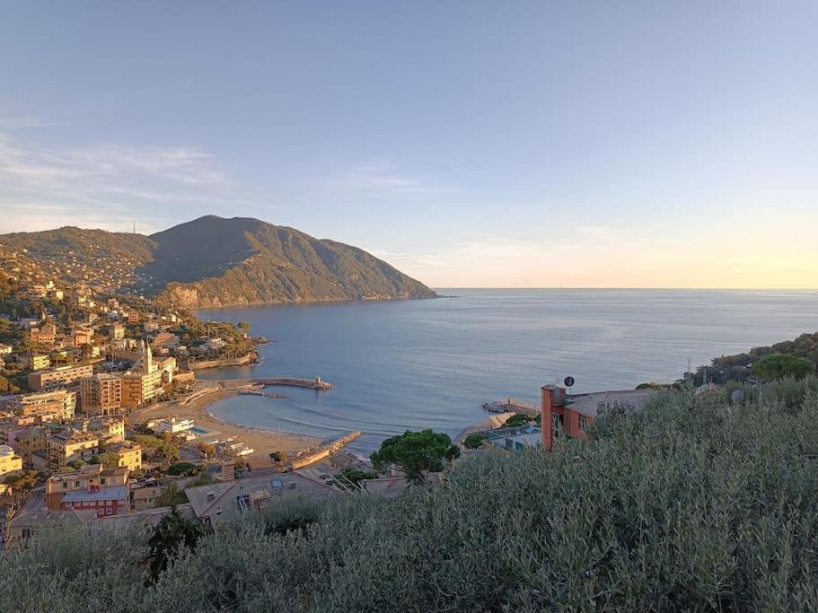 Appartamento A Dream Codice Citra 010047-Lt-0161 Recco Esterno foto