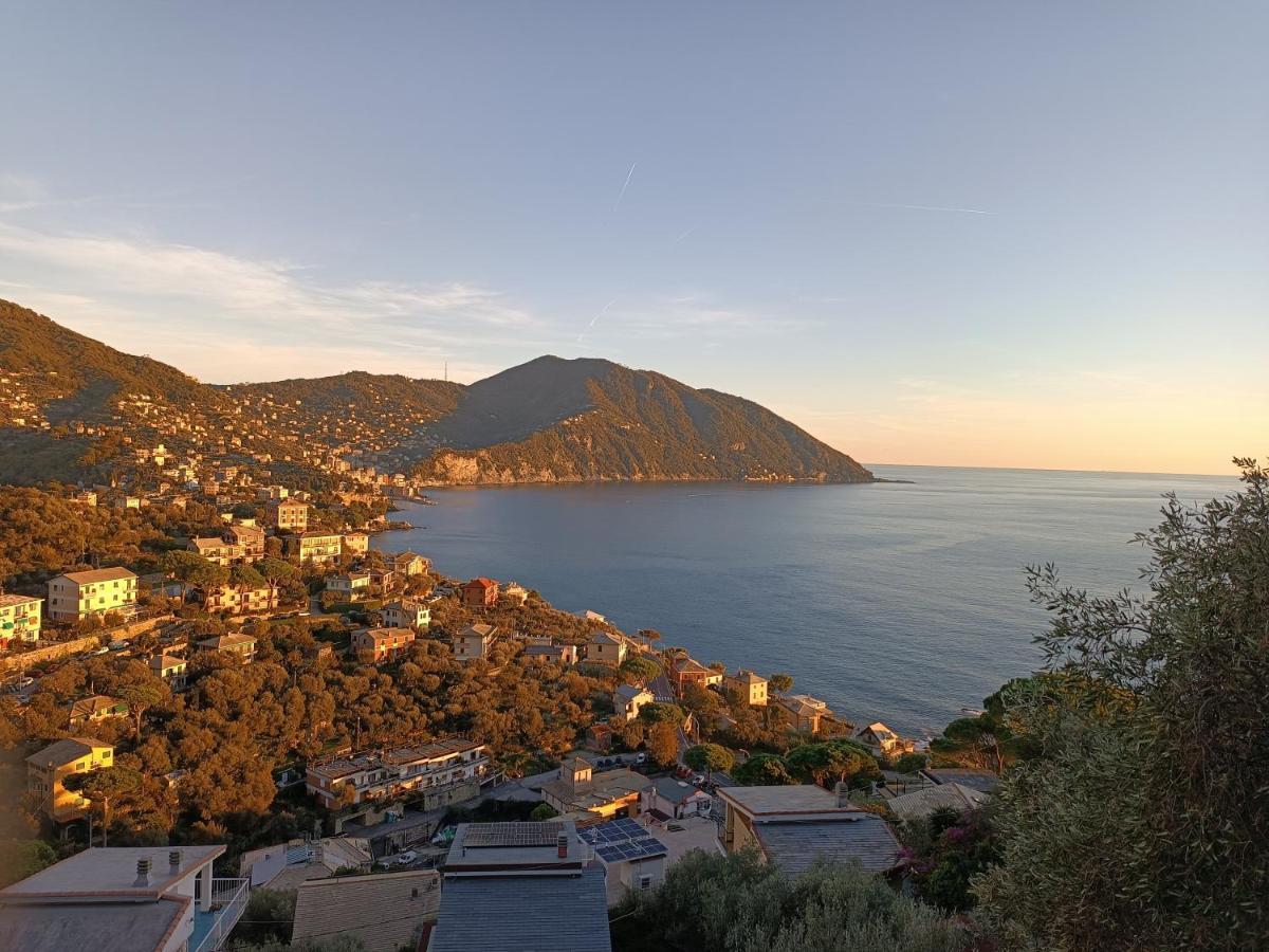 Appartamento A Dream Codice Citra 010047-Lt-0161 Recco Esterno foto